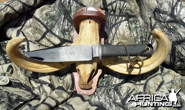 My +_ 15'  &quot;trophy&quot; warthog tusks with 7' blade for comparison
