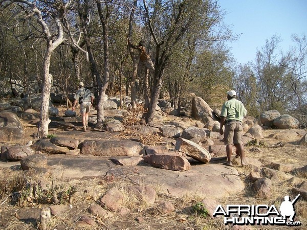 Hunting Zimbabwe