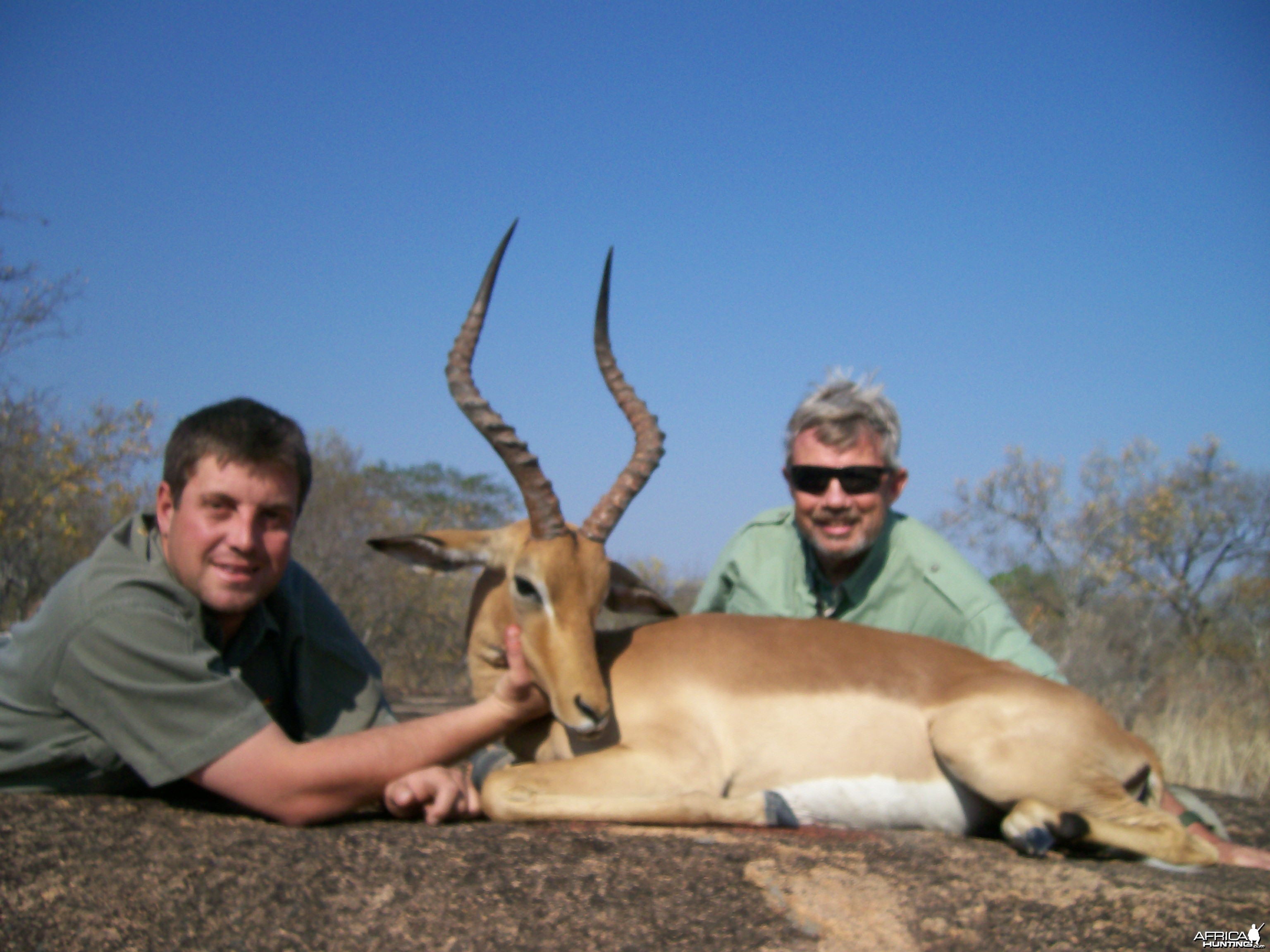 Impala