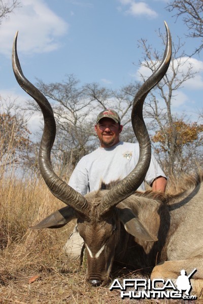 Greater Kudu South Africa