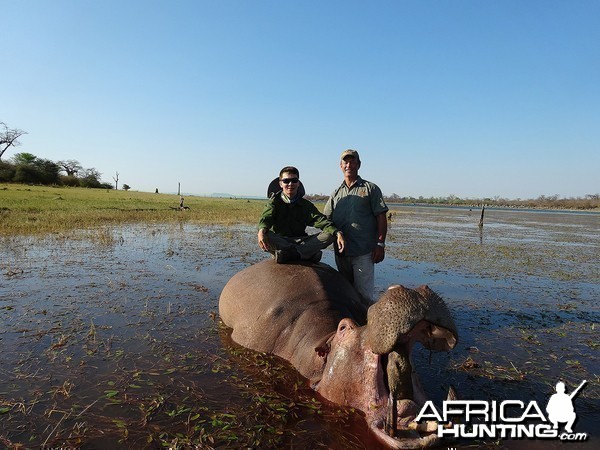 Second Hippo - Zimbabwe October 2013