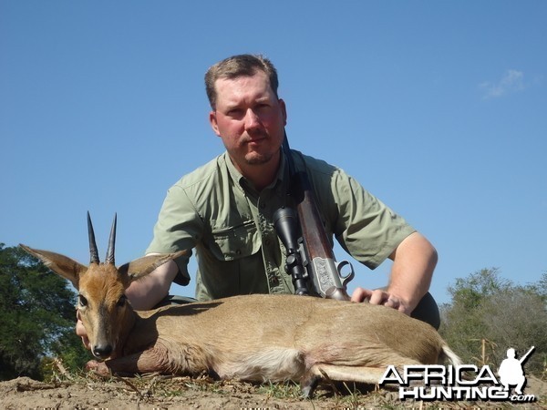 Duiker