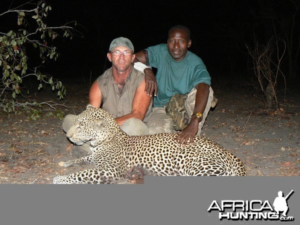 Very good Leopard (59 kg) from the Selous