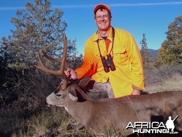 2013 Mule Deer X Blacktail Buck