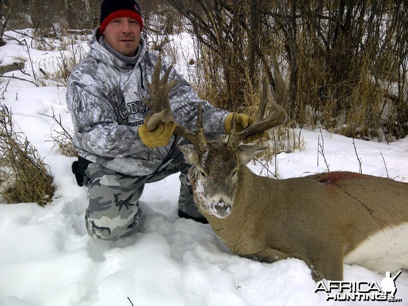 2012 Whittetail