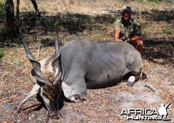 East African Eland. Number 3 SCI