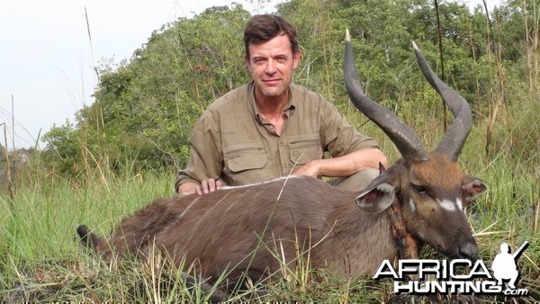 Sitatunga from central Cameroun