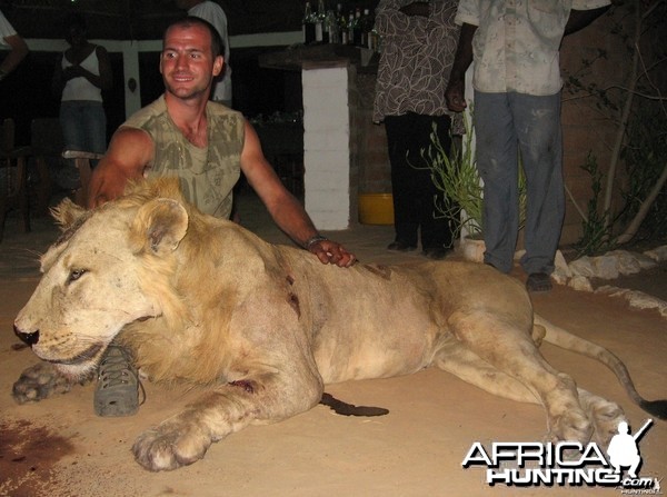 Lion hunted in Benin