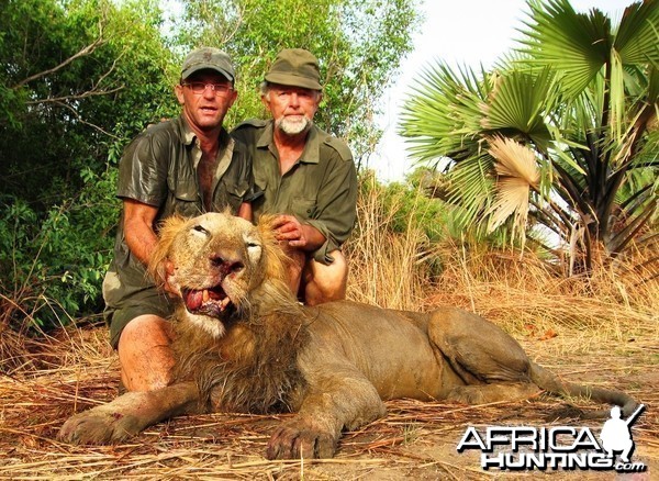 Lion hunted in Benin
