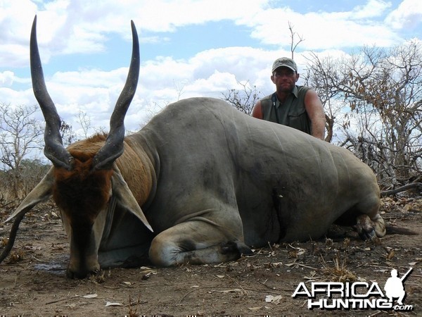 Old East African Eland