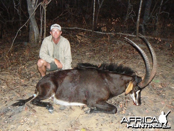 Good 39'' Sable from Selous