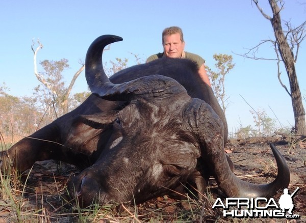 Buffalo Tanzania