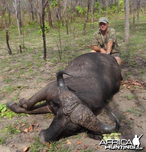 Buffalo Tanzania