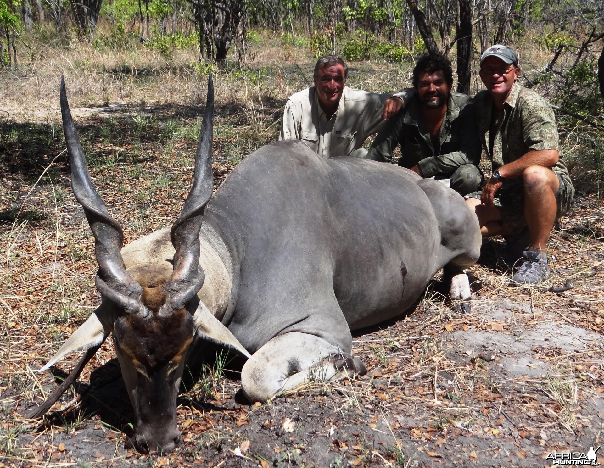 Eland Tanzania