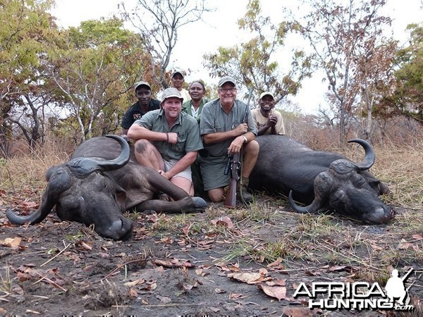 Buffalo hunt with Wintershoek Johnny Vivier Safaris