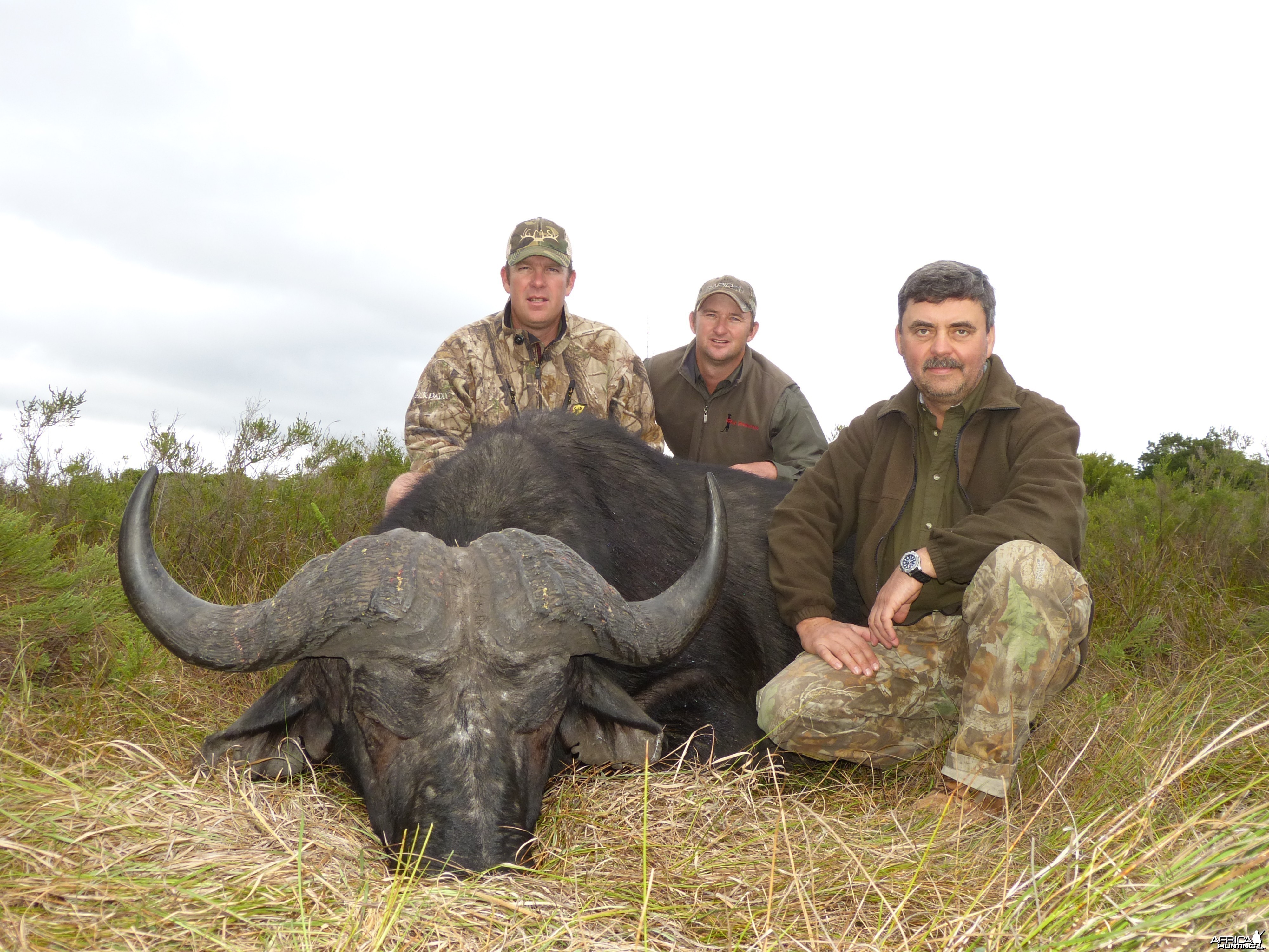 Buffalo hunt with Wintershoek Johnny Vivier Safaris