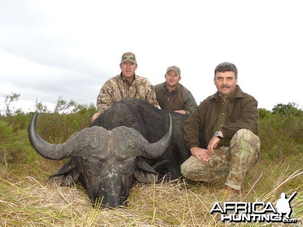 Buffalo hunt with Wintershoek Johnny Vivier Safaris