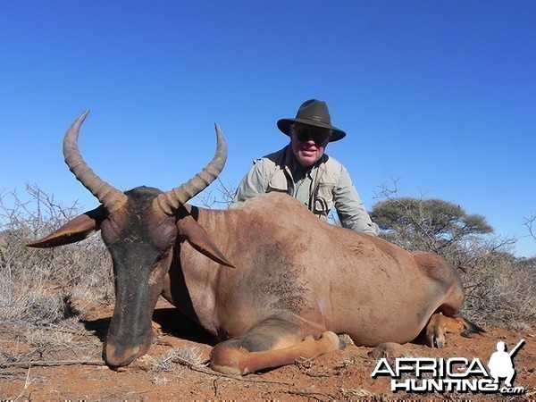 Tsessebe hunt with Wintershoek Johnny Vivier Safaris