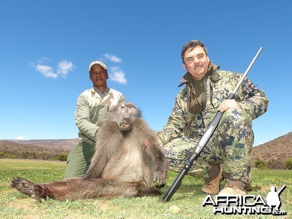 Baboon hunt with Wintershoek Johnny Vivier Safaris