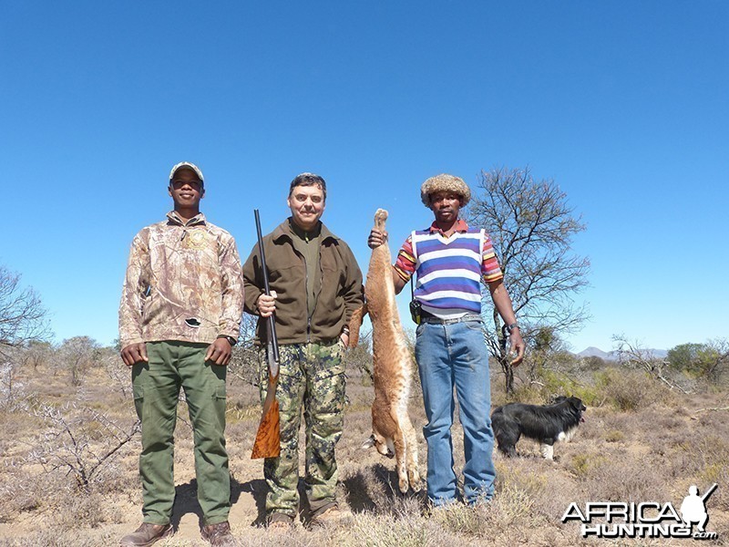 Caracal hunt with Wintershoek Johnny Vivier Safaris