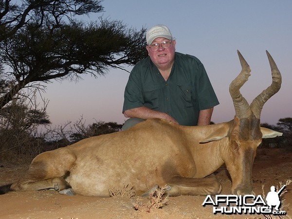 Red Hartebeest hunt with Wintershoek Johnny Vivier Safaris