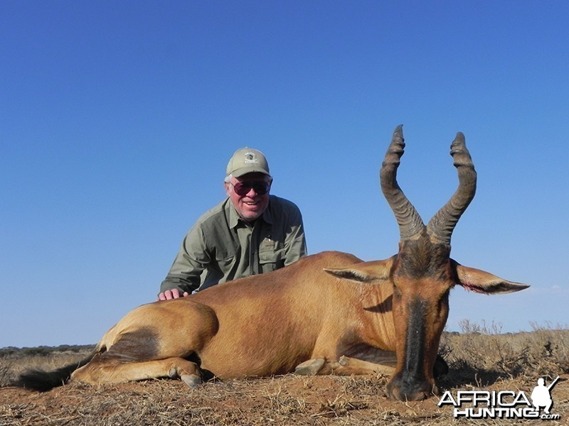 Red Hartebeest hunt with Wintershoek Johnny Vivier Safaris