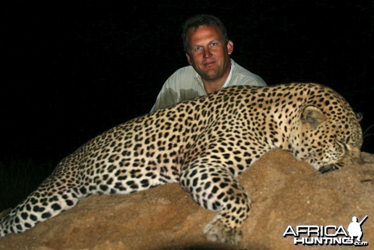 ~ Leopard - Lebombo Foothills, Mozambique ~