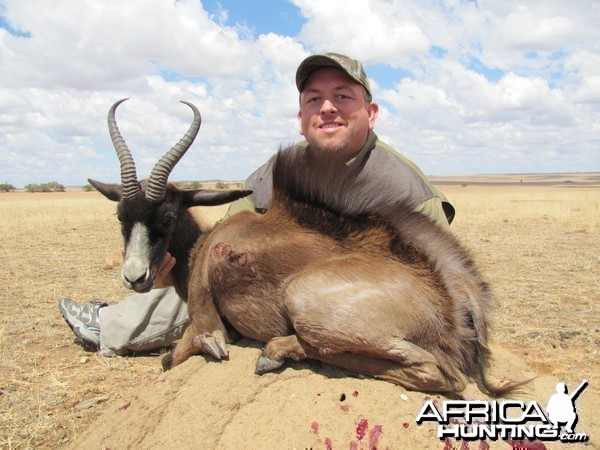 Black Springbok