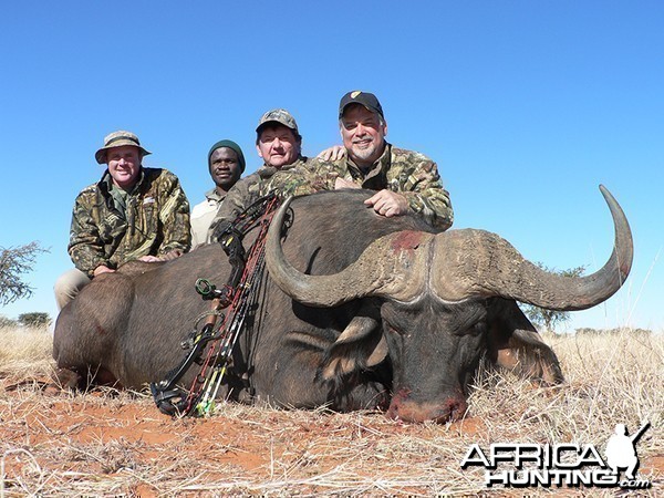 Buffalo hunt with Wintershoek Johnny Vivier Safaris