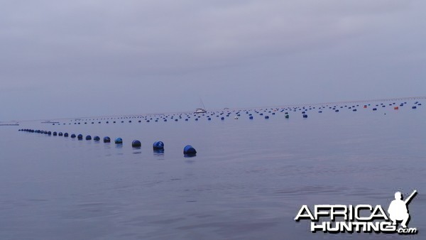 Oyster Farm Walvis Bay Namibia