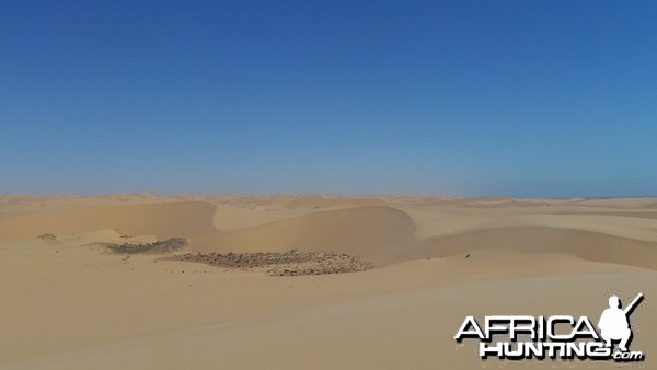 Dune Sandwich Harbor Namibia