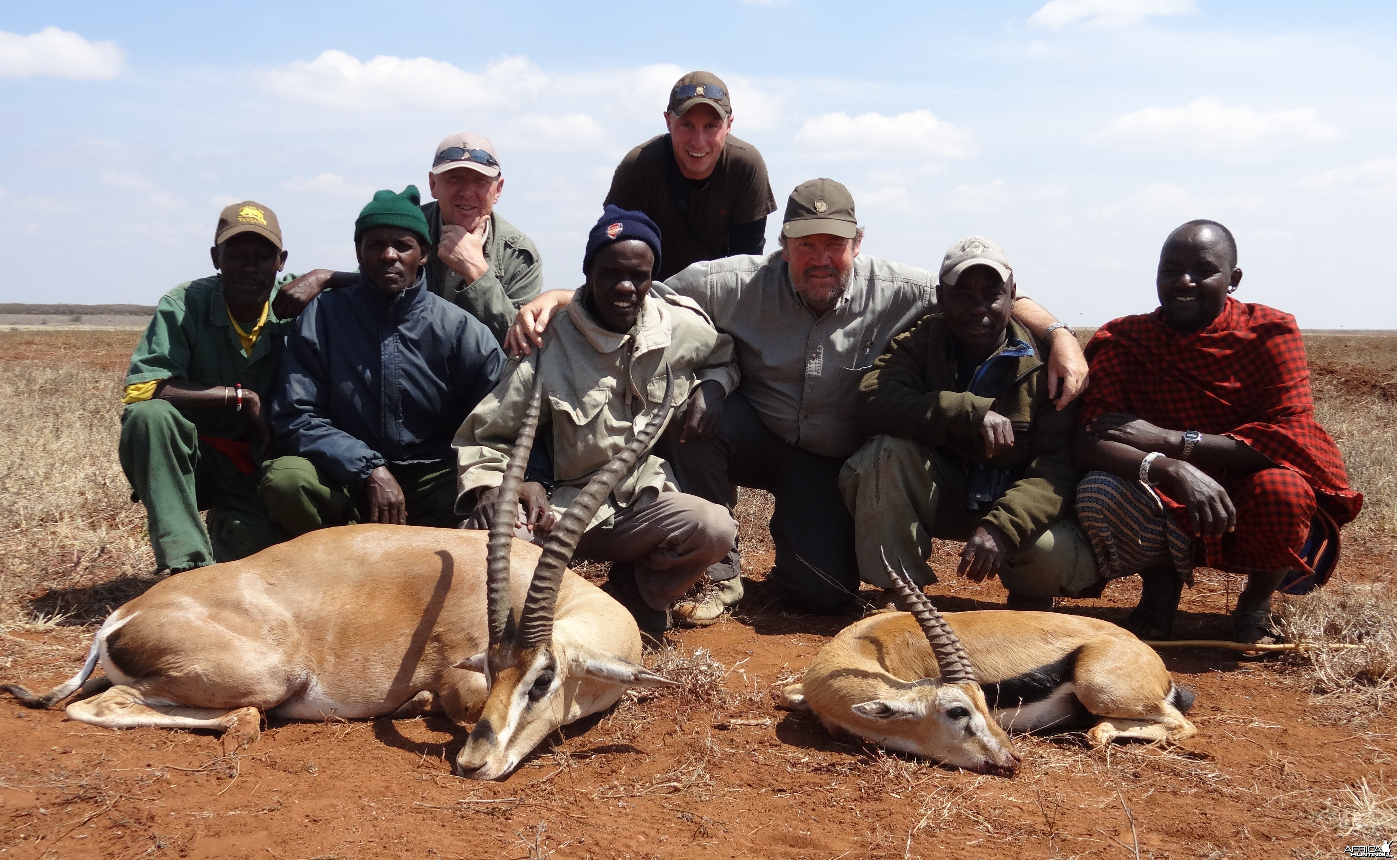 Gazelle Masailand