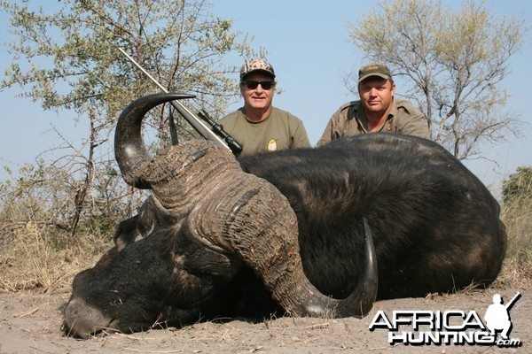 Caprivi buffalo hunt 2009