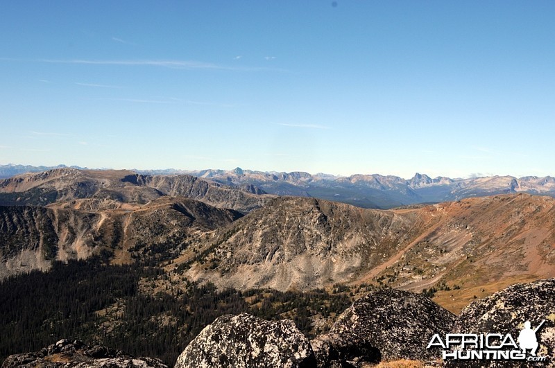 Hunting Big Horn Sheep in Southern British Columbia Canada