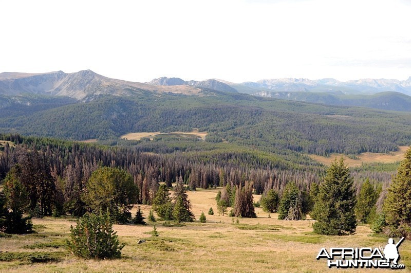 Hunting Big Horn Sheep in Southern British Columbia Canada