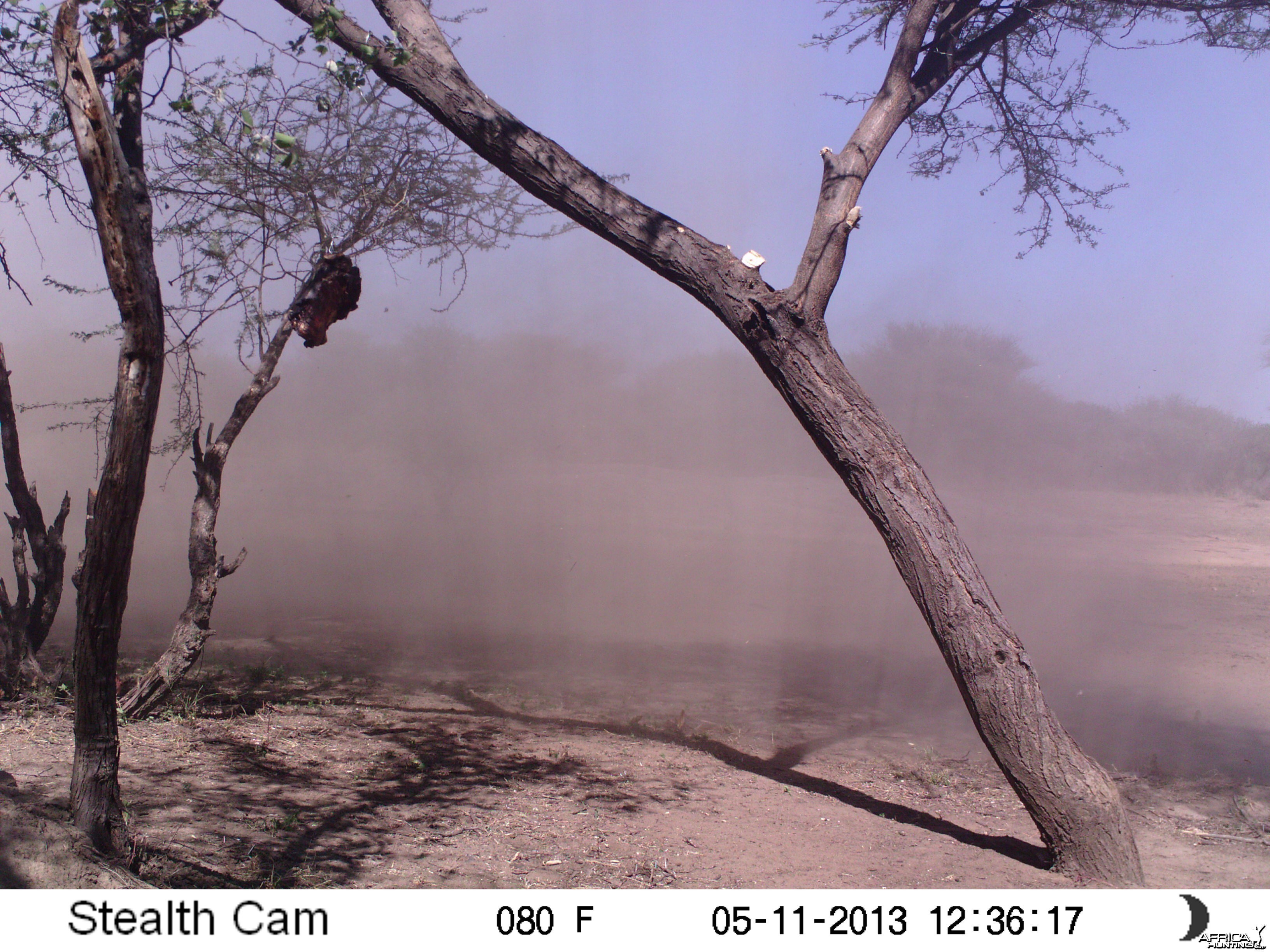 Wind Sand Trail Camera
