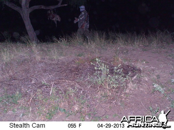 Checking Leopard Bait Trail Camera
