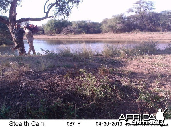 Checking Leopard Bait Trail Camera