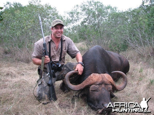 Hunting Cape Buffalo with a recurve