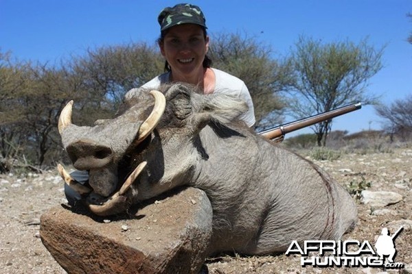 Warthog - Namibia