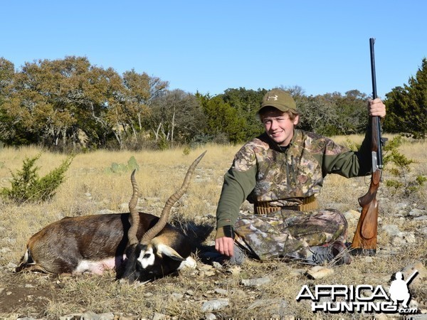 Blackbuck with 450 3-1/4&quot; Heym