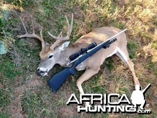 Ten Point West Texas Whitetail