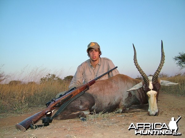 Common Blesbuck ~ Limpopo Valley, RSA