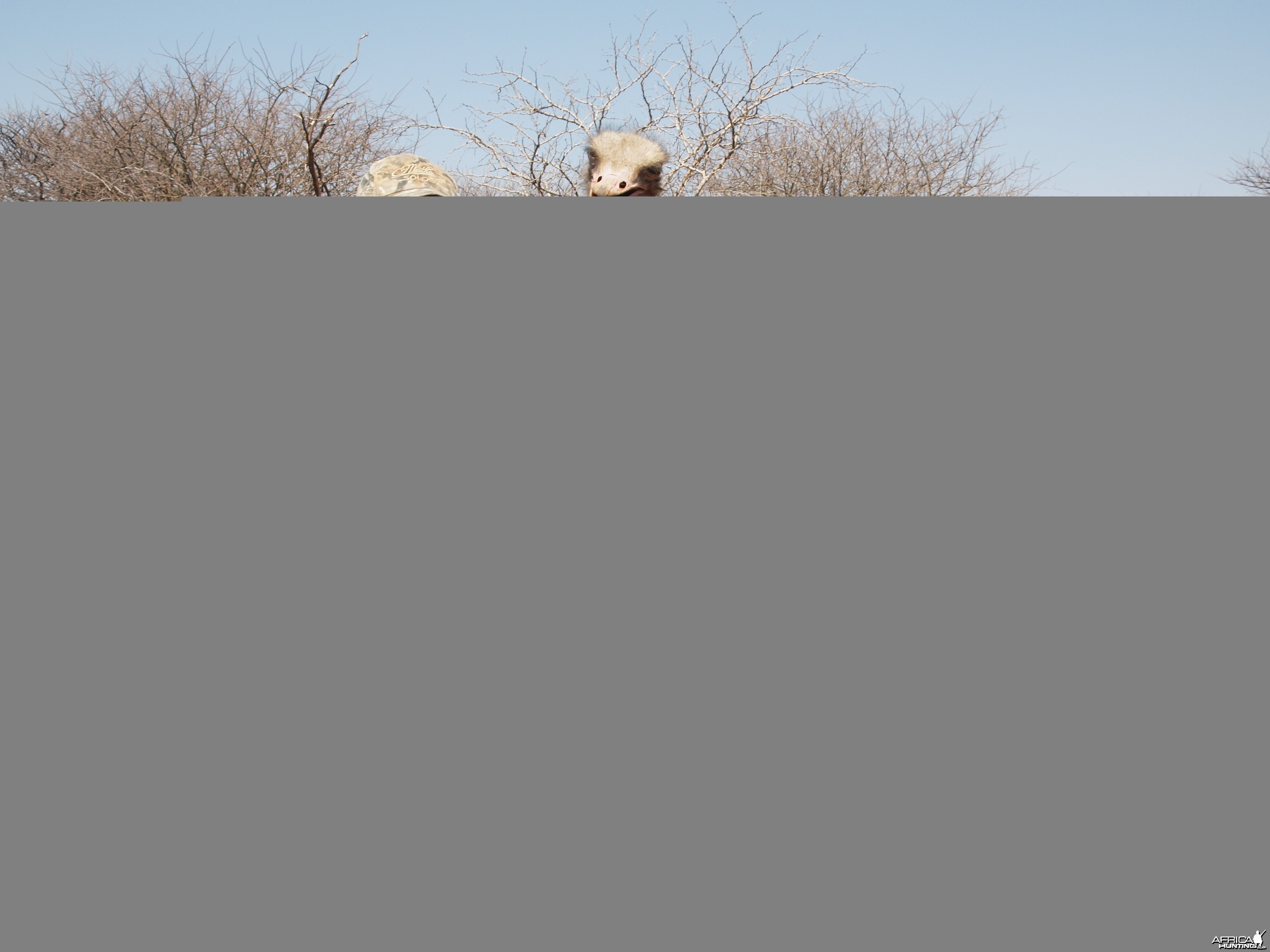 Ostrich hunted with Ozondjahe Hunting Safaris in Namibia