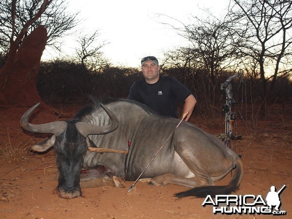 Blue Wildebeest hunted with Ozondjahe Hunting Safaris in Namibia