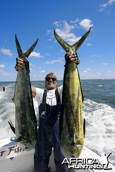 Fishing Monster Mahi &amp; Shark