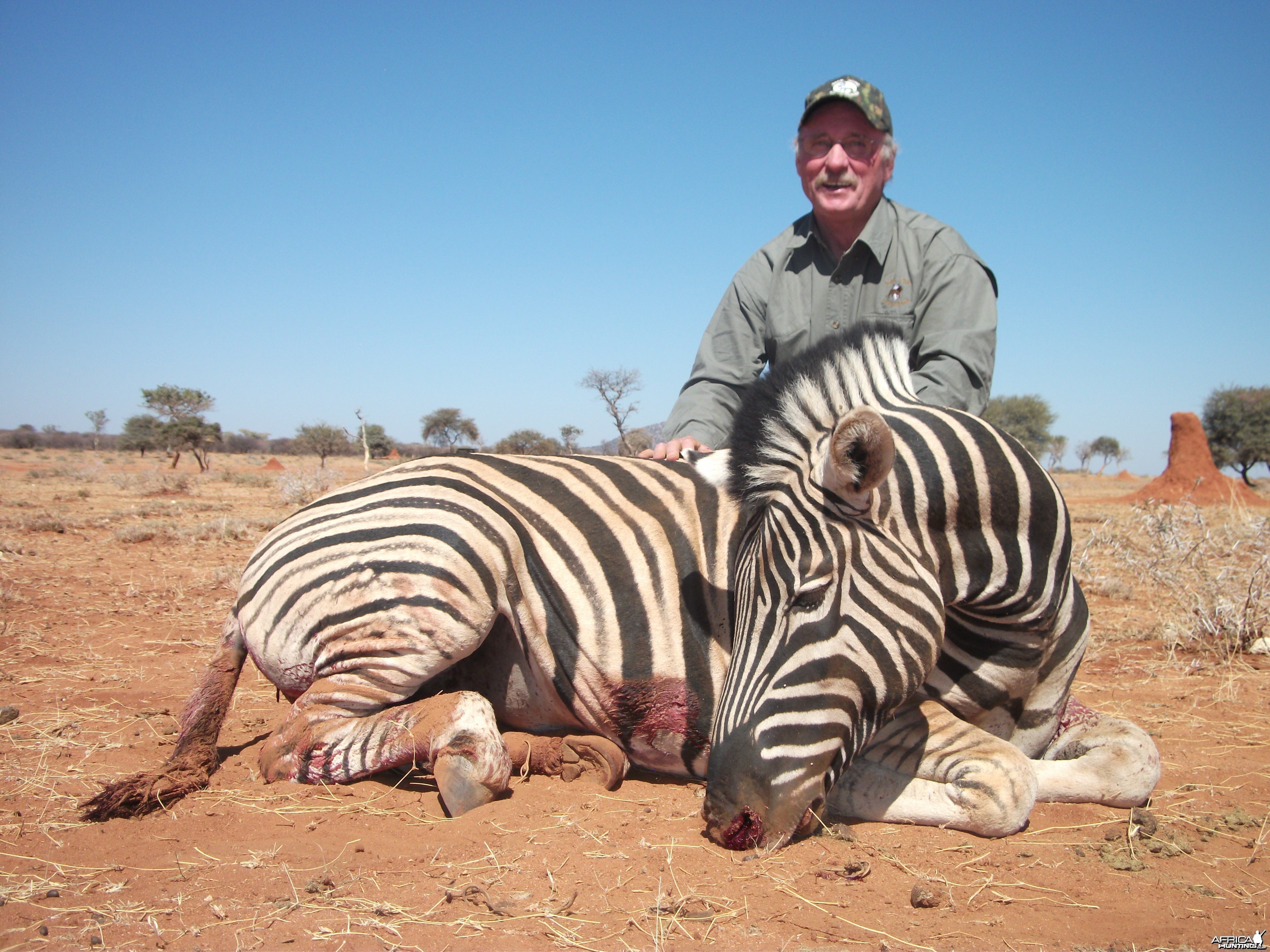 Burchell's Zebra hunted with Ozondjahe Hunting Safaris in Namibia