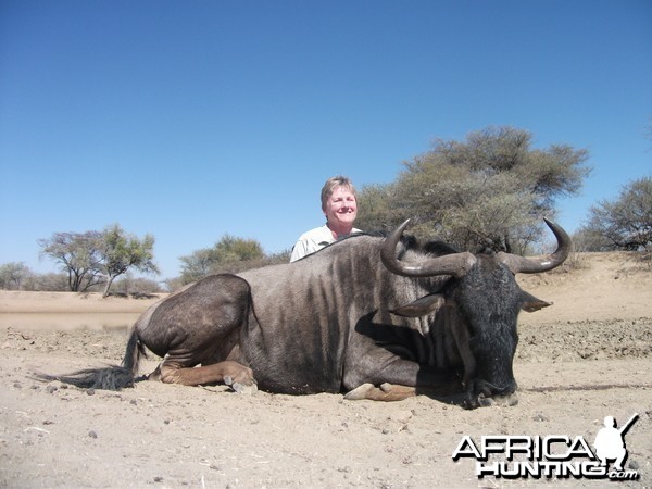 Blue Wildebeest hunted with Ozondjahe Hunting Safaris in Namibia