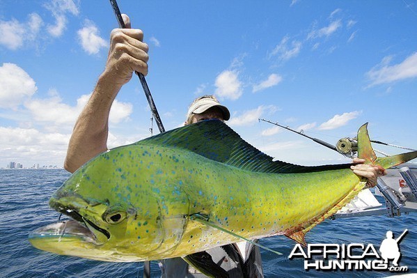 Fishing Monster Mahi