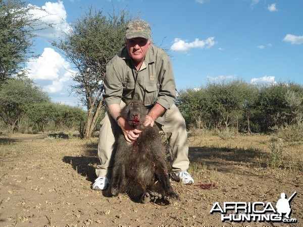 Chacma Baboon hunted with Ozondjahe Hunting Safaris in Namibia